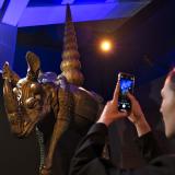 Dalí: Spellbound_Pressefoto© Bernd Pfeil_Alegria Exhibtion GmbH
