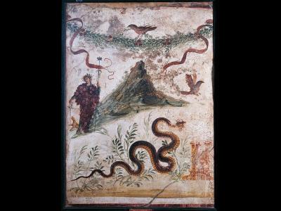  The Last Days of Pompeii - immersive exhibition | Panel images